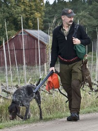 Landinarnas Jokk, jakthund i första hand men också klar för elitklass på jaktprov…